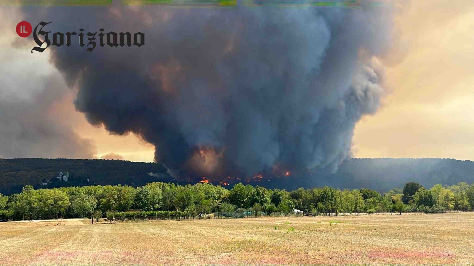Immagine per I ragazzi lanciano l'allarme sul Carso: «Se il bosco brucia, si spegne la natura»